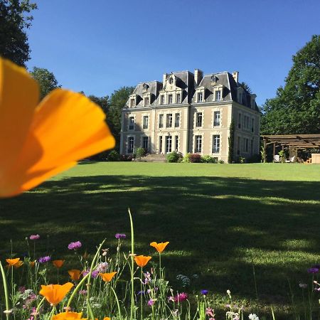 לאנז'ה Chateau Des Essards Avec Piscine Et Jacuzzi מראה חיצוני תמונה