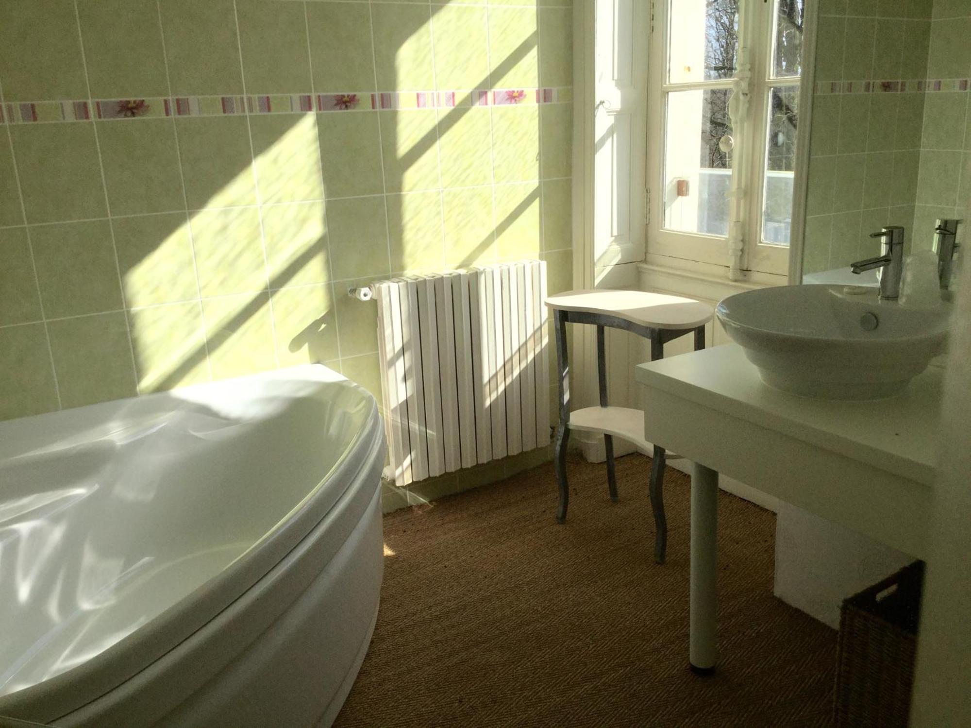 לאנז'ה Chateau Des Essards Avec Piscine Et Jacuzzi חדר תמונה