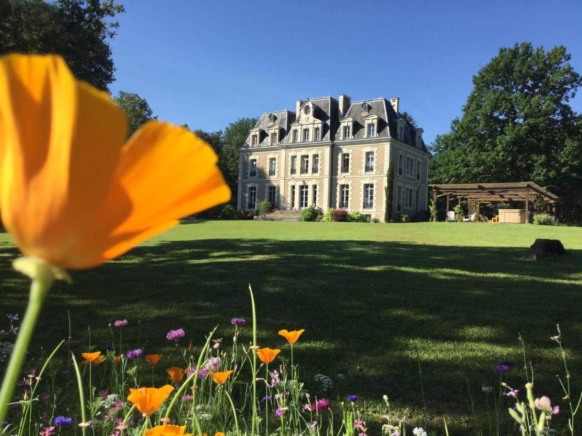 לאנז'ה Chateau Des Essards Avec Piscine Et Jacuzzi מראה חיצוני תמונה